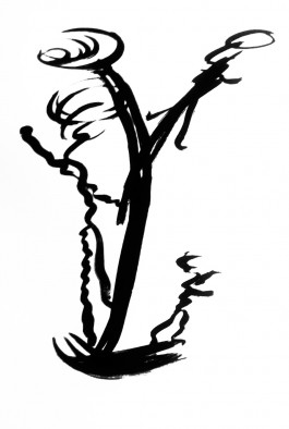  Catherine May Atlani