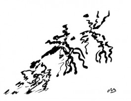  Catherine May Atlani