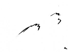  Catherine May Atlani